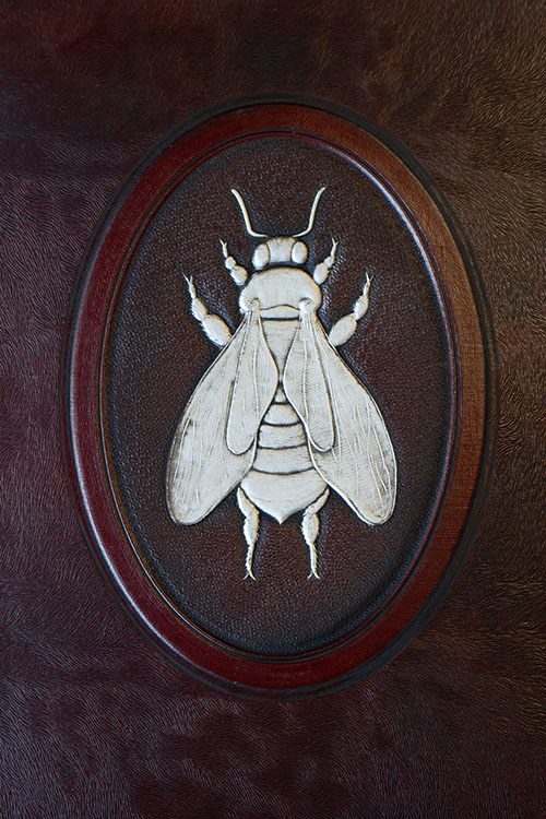 An early look at the University's bee mascot on the cover of the 1938 yearbook