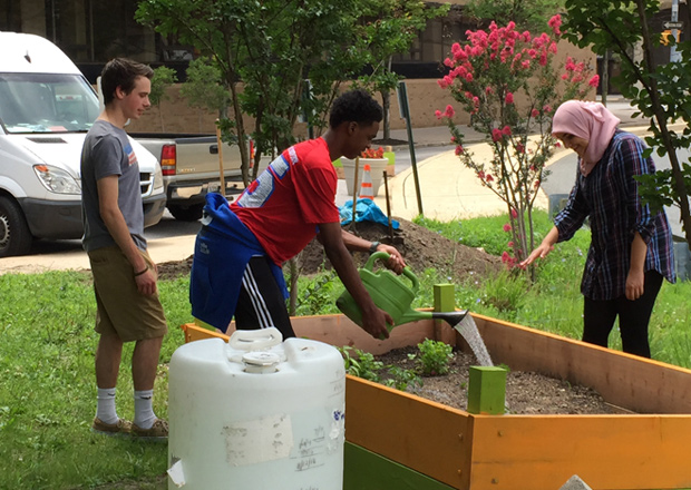 community garden