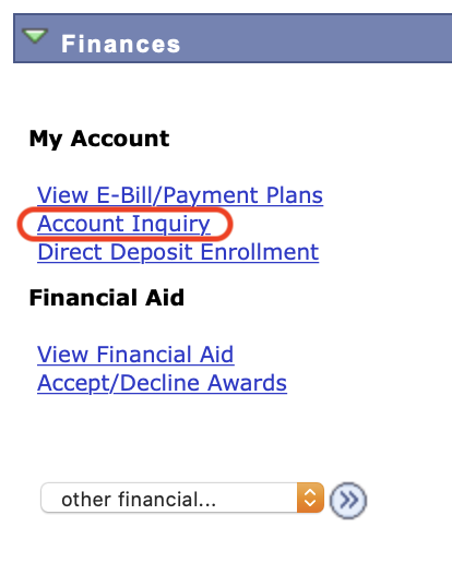 Peoplesoft Account Inquiry Link